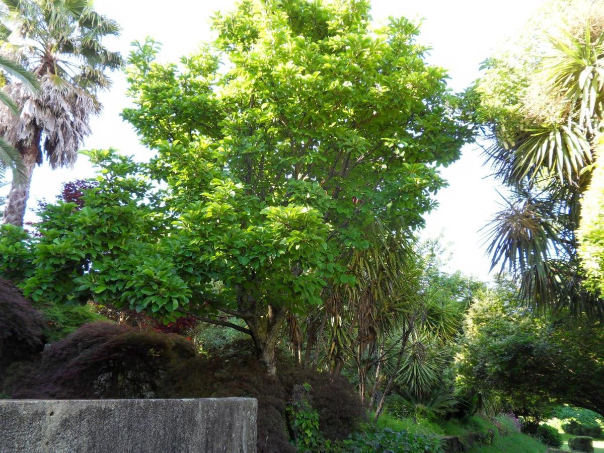 Quinta Do Bento Novo - Casa De Campo - Turismo Rural Viana do Castelo Extérieur photo