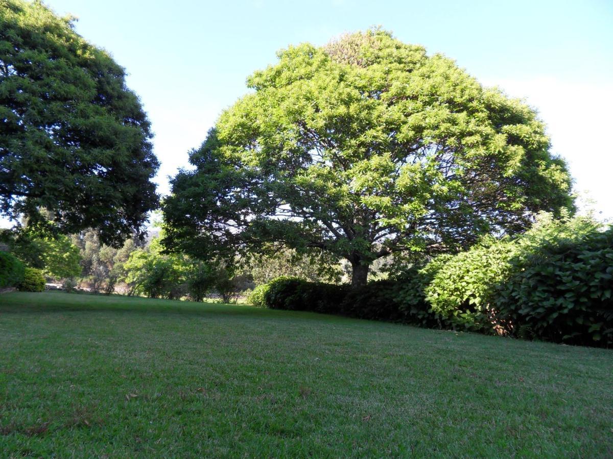 Quinta Do Bento Novo - Casa De Campo - Turismo Rural Viana do Castelo Extérieur photo