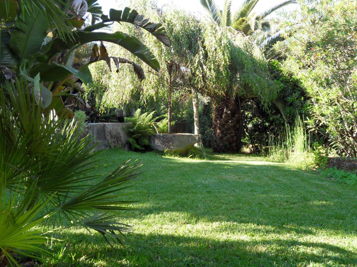 Quinta Do Bento Novo - Casa De Campo - Turismo Rural Viana do Castelo Extérieur photo